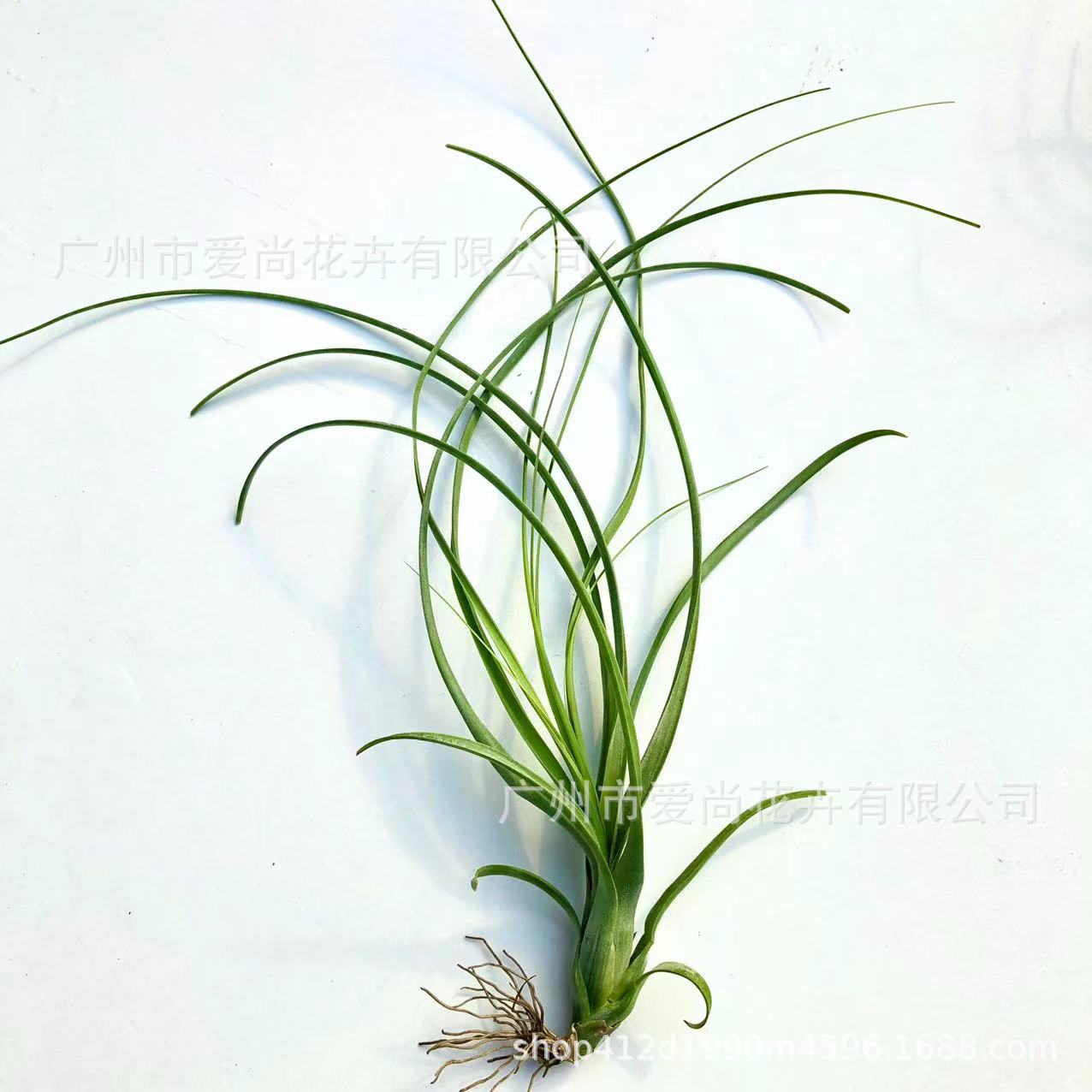 微信图片_20221106134253