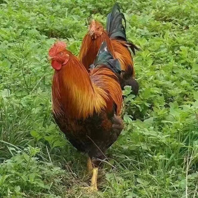 db1634688291d4c80a2eaa133937d8