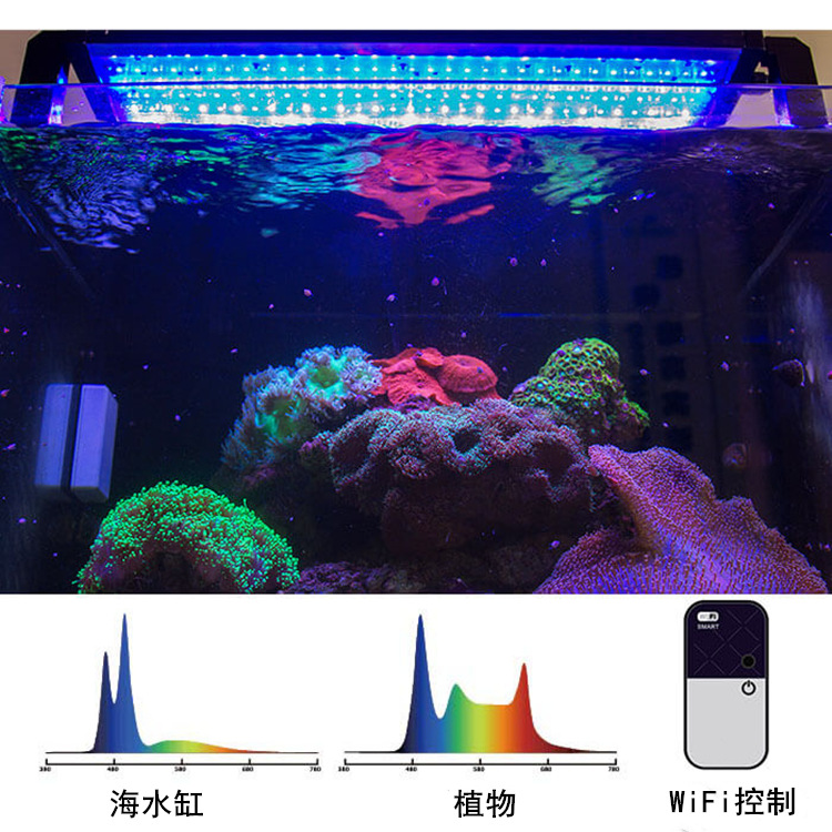 亚马逊新品鱼缸灯蓝白全光谱水族灯日出日落可调节水草灯