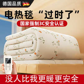 德国石墨碳纤维电热毯双人单人调温除螨抗菌新款家用冬季电褥子
