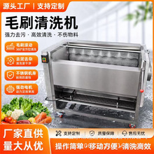 根茎类果蔬清洗加工设备 毛辊清洗机器 平行毛刷海产品清洗设备