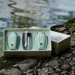 Promotional ceramic jar fast service cup glass cup empty jar tea gift box packaging Longjing Biluochun Chenpi gift empty box