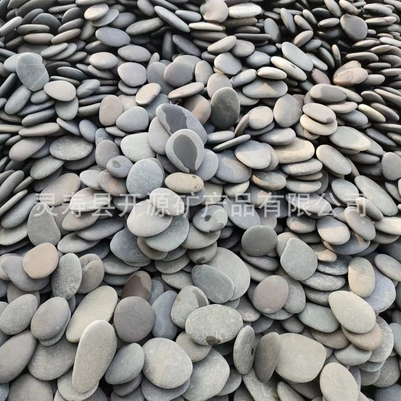 3463cf6a64d3704782cc313024c224