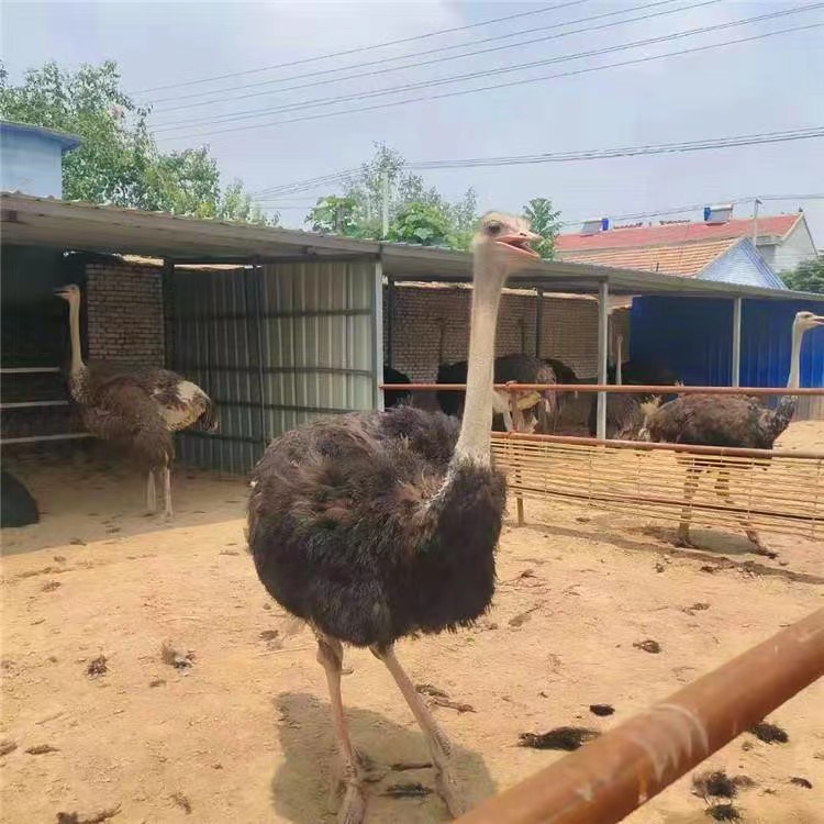 a0379004edc61c86f3f7d1eb83464c