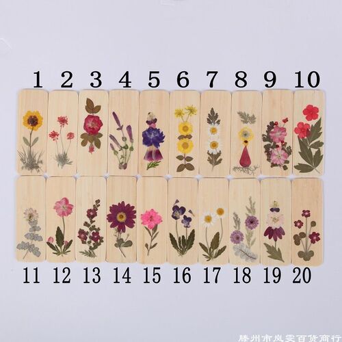 Dried flowers, real flowers, bamboo bookmarks, creative flower crafts, green vein bookmarks, wholesale tourist attractions embossed flowers