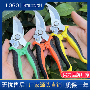 ���P���֦���๦�܈@ˇ�������@��֦�޽Ә�֦��@�֘�֦���߼�