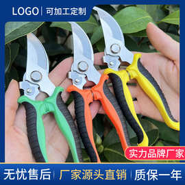 不锈钢修枝剪多功能园艺剪刀果园花枝嫁接树枝剪园林树枝工具剪