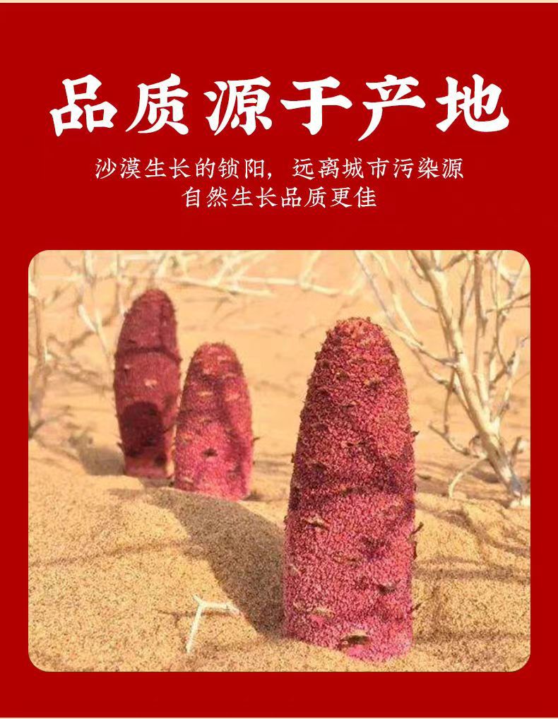 Suo Yang Slices (Cynomorium songaricum) — Inner Mongolia Dried Herb for Wine & Tea overview