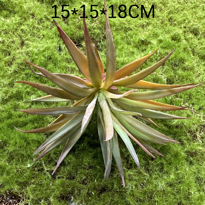 Marco decorativo Planta nórdica colgante de pared decoración de pared colgante de pared tridimensional pared de fondo de planta verde pared cabeza de ciervo simulación suculento planta verde