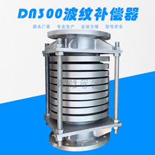 DN300Ӻ沨ya վòyÛ SҶ