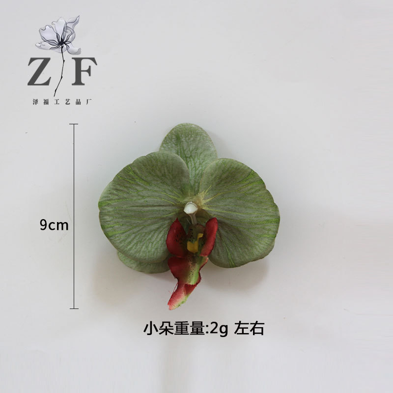 越境シミュレーション胡蝶蘭花頭diy9cm紫造花胡蝶蘭花弁白12cm胡蝶蘭花弁|undefined