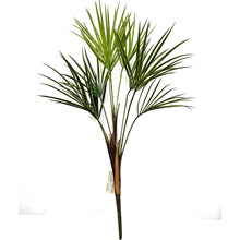 X~Gֲֲ~ɢβ֦ާٻٲݲƺ͏d쾰^߷