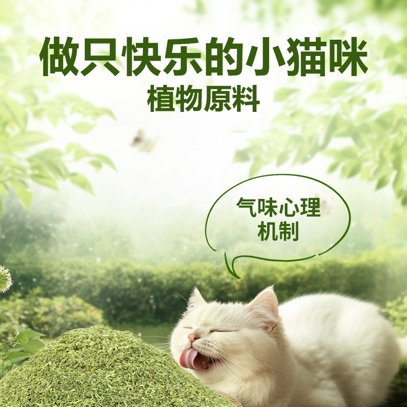 Cat mint comestible 260ml polvo fino de plantas se puede rellenar juguetes para gatos aperitivos para gatos