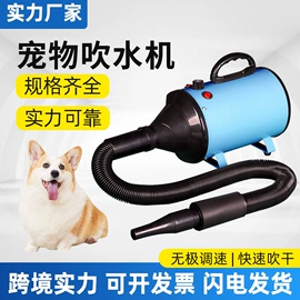 宠物吹水机