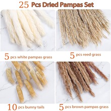 25pcs�ɻ��M������˹�ݽM����β��С�JȔ���m�M�����l�羳���u