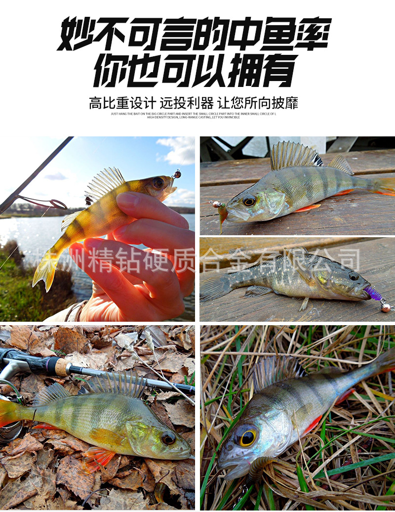 大耳猕猴详情_04