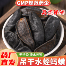 水蛭干蚂蝗干正品非生菲牛蛭中药材非水蛭素胶囊非冻干粉代客打粉