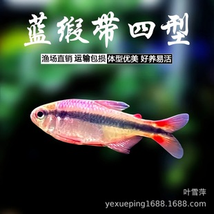 �{�������͟��~�Ꭷ�~�ݸ�Ⱥ�θ߶������߲�ħ���~�������w�~���l
