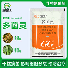 国光多菌灵水稻果树病害花生莲藕叶斑病灭菌灵土壤消毒杀菌剂 50g