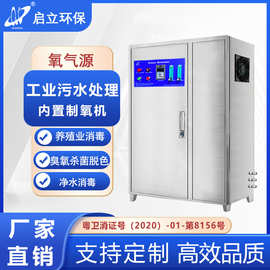 启立氧气源一体机100G高浓度臭氧污水处理设备养殖脱色臭氧发生器