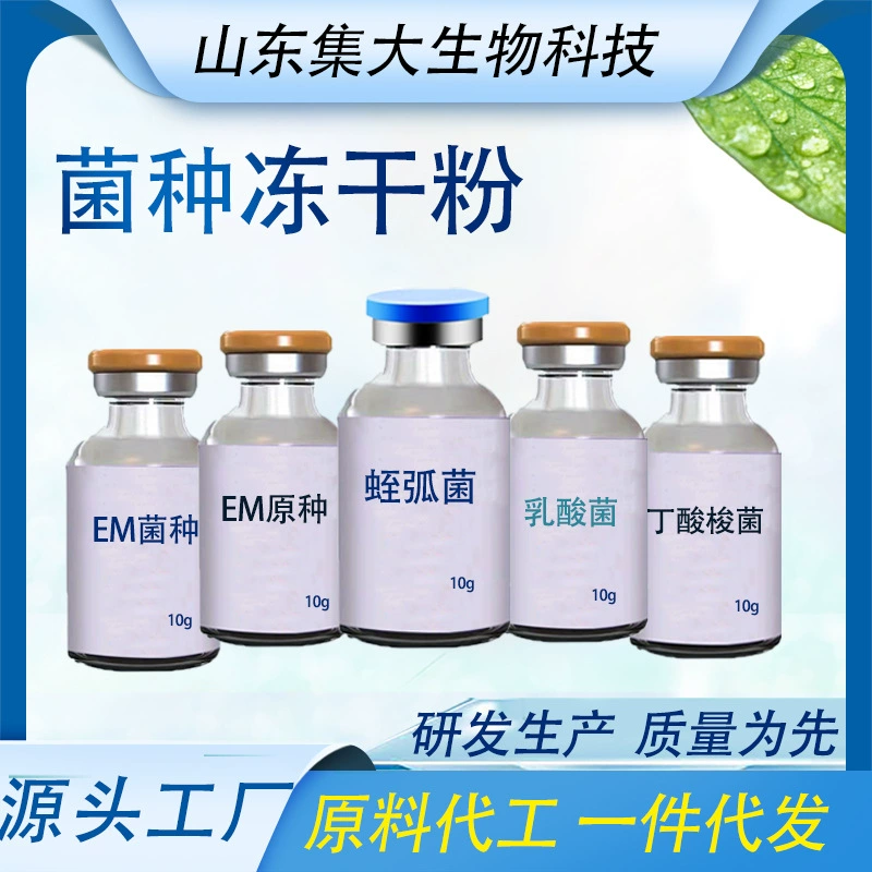 Порошок Замораживани-Высушенный Бделловибрио