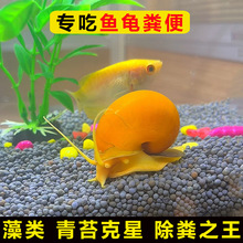 ���~ʺ�S���^�p�Ꭷ����ȸ�r�絭С�~��ˮ�匙��������坍��