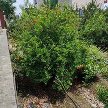 ���ش������l������ʯ�񪚗U��ʯ���|��ϵ���ɻ��ʸ�