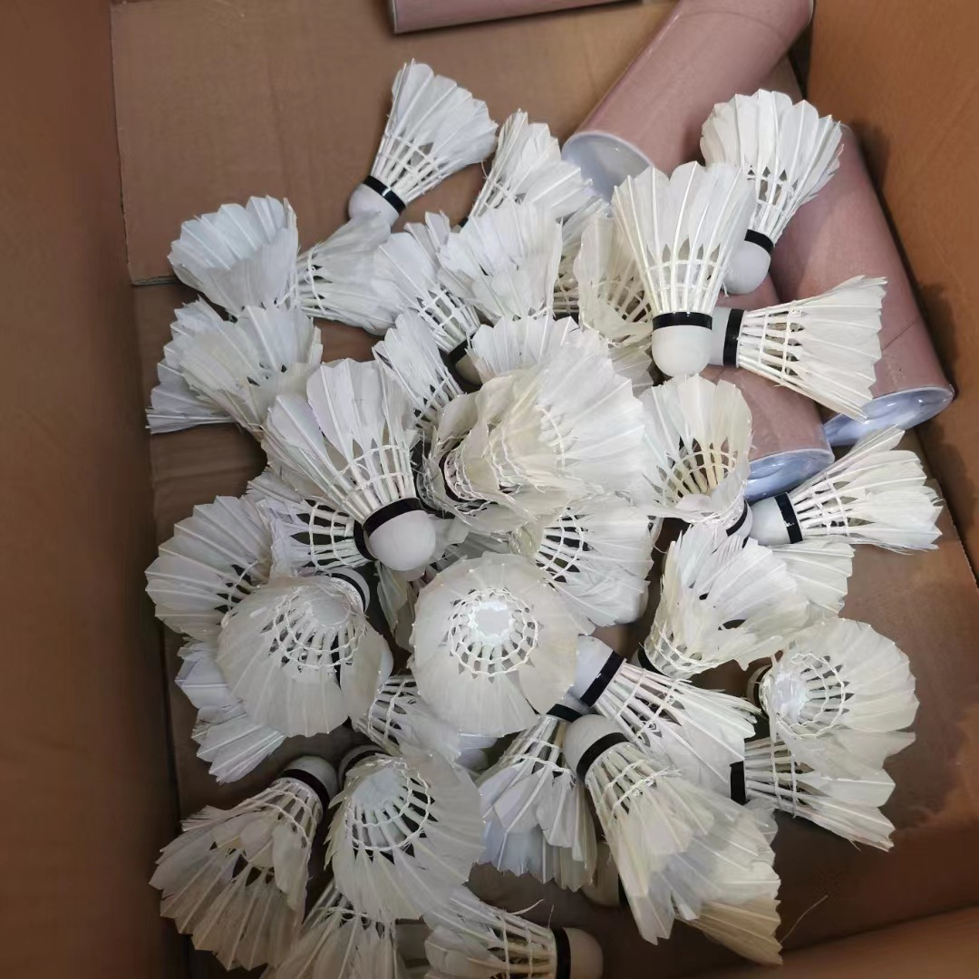 12개-02--77 속도#2-중립