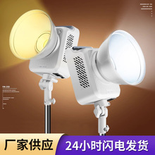 350W专业直播补光灯COB摄影灯直播间主播专用柔光美颜灯光室内服