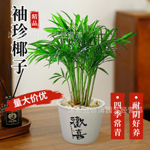 ����Ҭ�������҃�ֲ����լ�͏d���P�����k��������Gֲ���B���ļ�