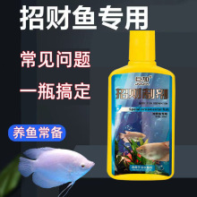 ޼вƼ вսȴͷڰĵ۹