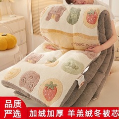 2025新款羊羔绒被子棉被双面绒冬被秋冬季保暖加厚雪花绒被芯宿舍