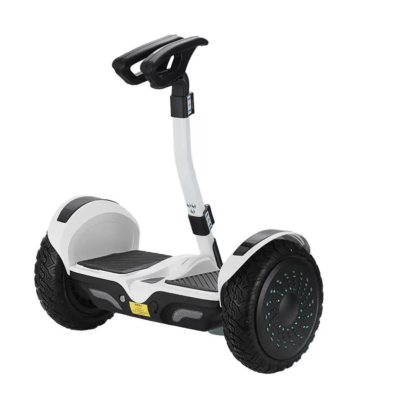 定制跨境智能体感平衡车儿童成人充电款双轮体感10寸腿控体平行车