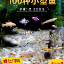 �Ꭷ��ˮ���w�^�p�����~С�͌�ɏ�����R�t�G����ȸȺ���~������~