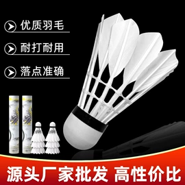羽毛球拍;羽毛球;乒乓球拍