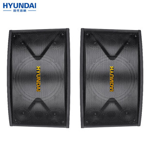 HYUNDAI modern audio HY810 home theater KTV home professional song conference stage equipment speaker