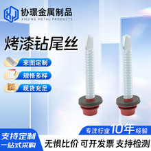 �����β�z�������β��ᔲ���������β�ݽz�Թ�÷���β���