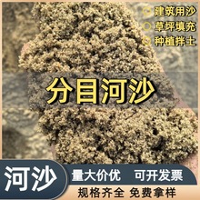 建筑用黄沙 天然河沙 混凝土砂浆修路鱼缸造景沙 工程分目河沙