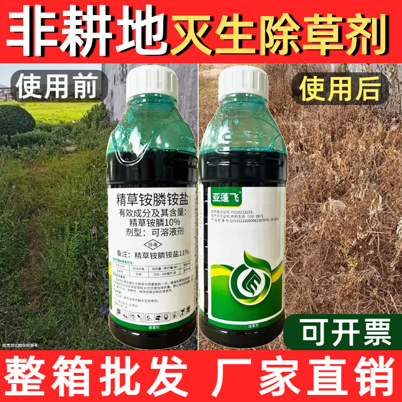亚蓬飞果园荒地牛筋草小飞蓬除草强劲见效迅速河南农药厂家批发