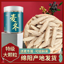 Ĵ dԭaذl؛ İ]ˮ|oѬ