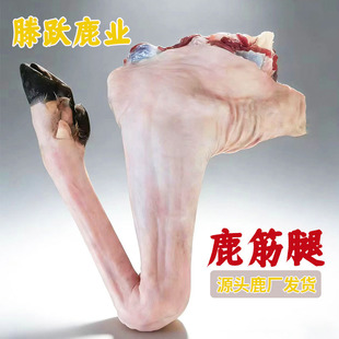 ����¹���� �����p����r÷��¹��֧����¹���Լ�¹���Bֳ¹����