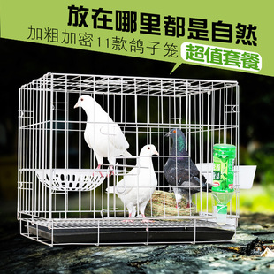 ���ӻ\�䌦�\��ֳ���ӻ\�����Bֳ���ӻ\�ۯB���ܻ\�\ݔ���\�ɴ��l