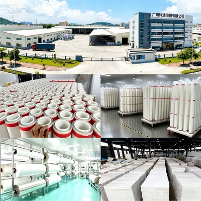 Factory, Car paint protective film