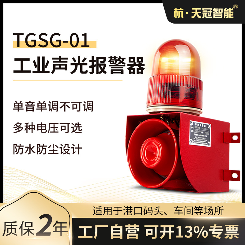 TGSG-01声光报警器 一体化LED工业声光报警器 单音单调 多种电压