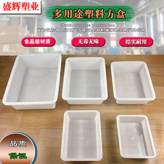 メーカーは家庭用プラスチック収納ケース水産養殖プラスチック鉢の浅い鉢の長方形の白い厚い氷皿を供給しています。