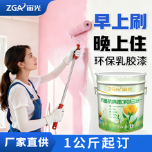 乳胶漆刷墙内墙家用翻新涂料白色墙面修复防霉抗菌自刷内墙乳胶漆