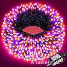 �羳���Nī�G���͉������M�����}�Q�����ҽ���ͥԺ���h�Ɍ�С�ʟ�