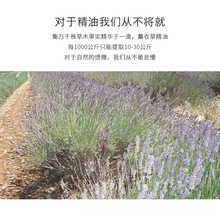 ��̖���|޹�²ݾ��ͱ��������a�^޹�²�ֲ����޹����SPA��Ħ��