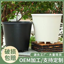 高腳硬質pp多孔塑料盆加厚6加侖藍莓種植花盆  草莓盆果樹種植盆