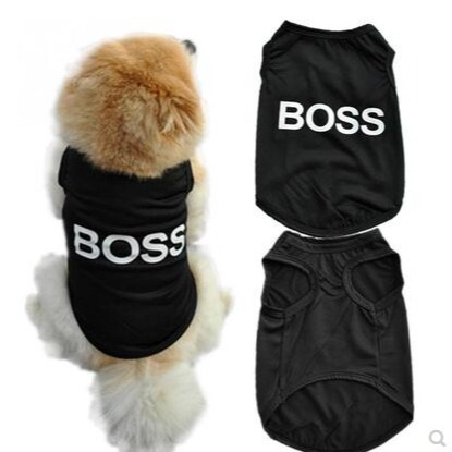 Pet clothing dog clothes "big BOSS" small dog Teddy polyester pet vest BOSS Cat clothes